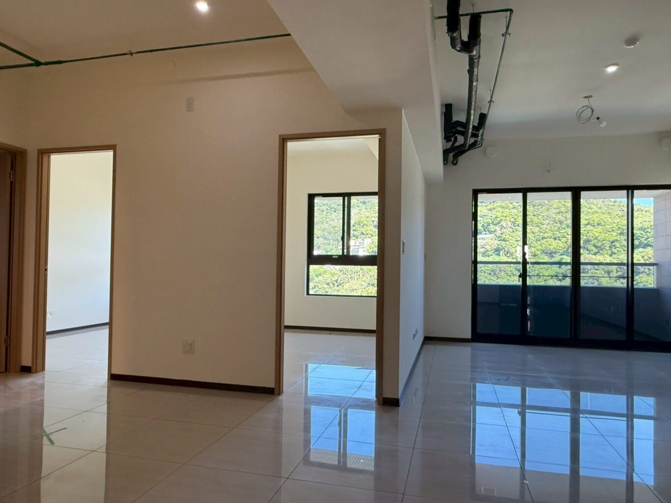 Line Album 禾碩樹晴 260305 8